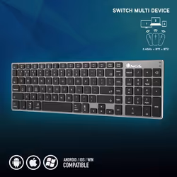 NGS FORTUNE-BT