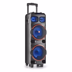 NGS WILD DUB 1, 7,62 cm (3"), 20,3 cm (8"), 300 W, 80 W, 20 - 20000 Hz, Avec fil &sans fil