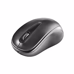 NGS EASY GAMMA souris Ambidextre RF sans fil Optique 1200 DPI