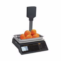 Balance Professionnelle à Colonne 30 kg ZFOC-30P RS - Gram