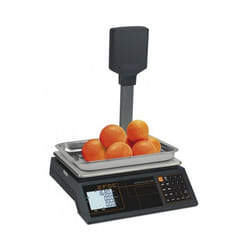 Balance Professionnelle à Colonne 30 kg ZFOC-30P RS - Gram