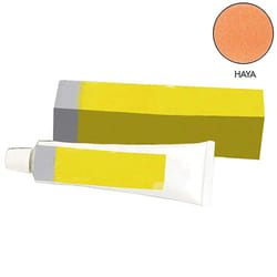 Mastic de réparation du bois 120 gr. Est