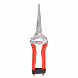Wolfpack 8255010, 150 g, 170 mm, 100 mm, 50 mm
