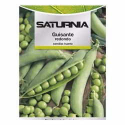 Graines de Petits Pois - Légume largement utilisé pour ses graines sucrées, qui s'utilisent fraîches ou en conserve. La récol ...