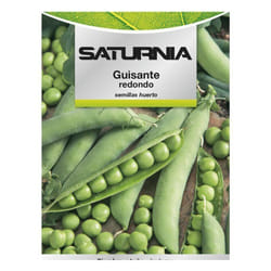 Graines de petits pois