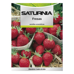 Graines de fraises du verger