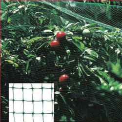 Saturnia - Malla Antipajaros (Rollo 4 x 12 Metros)