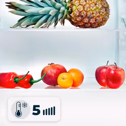 Cecotec 00126 frigo combine Pose libre 91 L E Blanc - Vue supplémentaire 8