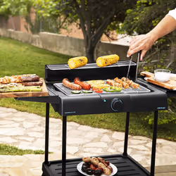 Cecotec 03049 barbecue et grill Barbecue/grill Kamado Dessus de table Electrique Noir 2400 W