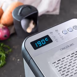 Cecotec 04300 friteuse Unique 3,2 L Autonome 2400 W Acier inoxydable