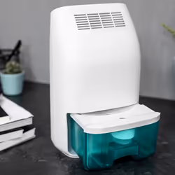 Cecotec BigDry 2000 Essential 0,7 L 35 dB 23 W Blanc