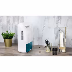 Cecotec BigDry 2500 Essential 360 2 L 40 W Blanc