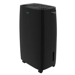Cecotec BigDry 4000 Expert 2,5 L 205 W Noir
