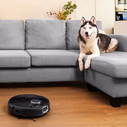 Cecotec 05781 robot aspirateur Sac à poussière Noir