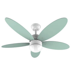 Cecotec 05878 ventilateur Vert, Blanc