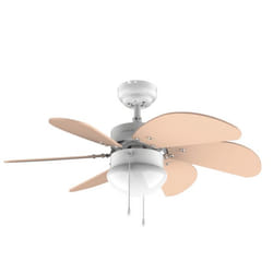 Cecotec 05966 ventilateur Orange, Blanc
