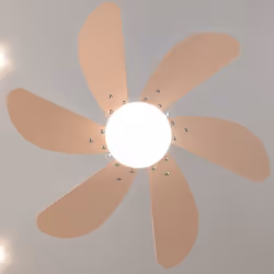 Cecotec 05966 ventilateur Orange, Blanc