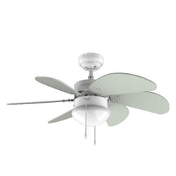 Cecotec 05967 ventilateur Couleur menthe, Blanc