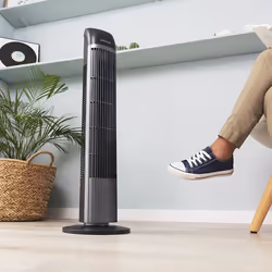 Cecotec 05970 ventilateur Noir