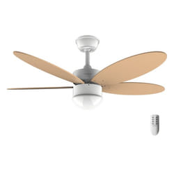 Cecotec 05998 ventilateur Orange