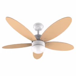 Cecotec 05998 ventilateur Orange