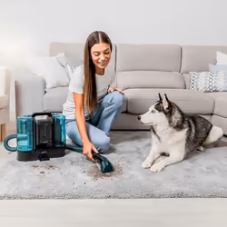 Cecotec 08116 aspirateur de table Noir, Bleu Sans sac