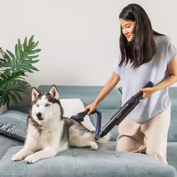 Cecotec Conga Rockstar Micro+ Animal aspirateur de table Gris Sans sac - Vue supplémentaire 6