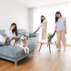 Cecotec Conga Rockstar Micro+ Animal aspirateur de table Gris Sans sac - Vue supplémentaire 8