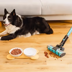 Cecotec Rockstar 3500 Storm Flex Animal Conga Aspirateur-balai 2 en 1 Batterie Sec&humide Sans sac 500 W Noir 2,5 Ah