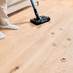 Cecotec Conga Rockstar 6500 Century ErgoWet Animal Aspirateur traineau Batterie Sec&humide Eau Sans sac Noir, Bleu 2,5 Ah - Vue supplémentaire 7