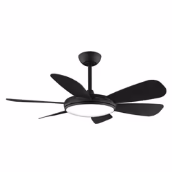 Cecotec Aero 5200 Black Pro Noir