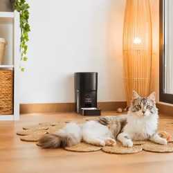 Cecotec PUMPA 6000 gamelle et abreuvoir pour chiens et chats Plastique, Acier inoxydable Noir, Bleu Universel Distributeur automatique pour animaux de compagnie - Vue supplémentaire 5