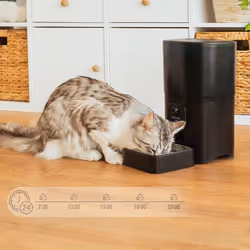 Cecotec PUMPA 6000 gamelle et abreuvoir pour chiens et chats Plastique, Acier inoxydable Noir, Bleu Universel Distributeur automatique pour animaux de compagnie - Vue supplémentaire 6