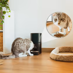 Cecotec PUMPA 6000 gamelle et abreuvoir pour chiens et chats Plastique, Acier inoxydable Noir, Bleu Universel Distributeur automatique pour animaux de compagnie - Vue supplémentaire 8