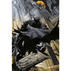 Grupo Erik - Poster dc comics batman gargola
