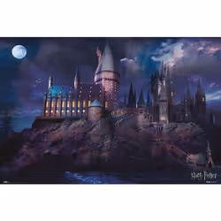 Il mesure 61 x 91,5 cm et est imprimé sur du papier brillant de haute qualité de 150 g/m². Il est expédié roulé.