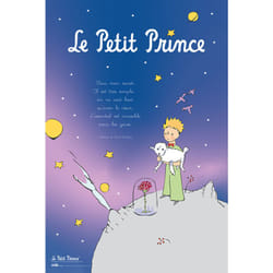 Grupo Erik - Affiche le petit prince