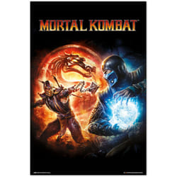 Poster mortal kombat 9 jeu vidéo