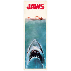 Poster porte requin