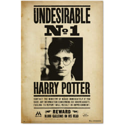 Grupo Erik - Poster harry potter indésirable n1