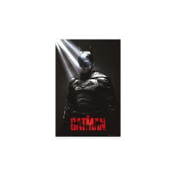 Poster dc the batman i am the shadows
