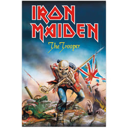 Grupo Erik - Poster iron maiden the trooper