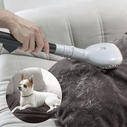 Brosse pour Aspirateur Smoovah Innovagoods