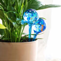 InnovaGoods vous offre les meilleures nouveautés pour la maison, comme Ballons arrosage automatique Aqua·Loon InnovaGoods 2 U ...