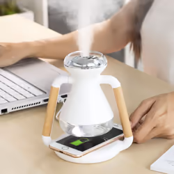 InnovaGoods vous offre les meilleures nouveautés pour la maison, comme Humidificateur Diffuseur d'Arômes et Chargeur Sans Fil ...