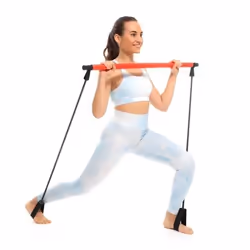 InnovaGoods Barre de Fitness avec Élastiques et Guide d'Exercice Resibar