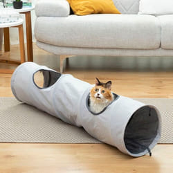 InnovaGoods Tunnel de Jeu Pliable pour Animaux de Compagnie Funnyl
