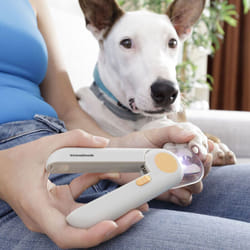 Innovagoods - Coupe-griffes avec led pour Animaux de Compagnie Clipet