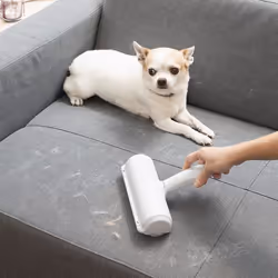 InnovaGoods Rouleau Anti-poil d’Animaux Rellair