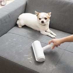 InnovaGoods Rouleau Anti-poil d’Animaux Rellair